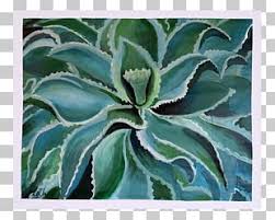 agave azul png images agave azul clipart free download agave azul png images agave azul