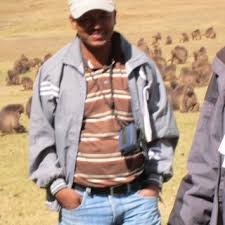 Image result for Albizia schimperiana