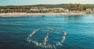 Crab cakes and lighthouses, antiques and country inns—the pleasures are pure and downright american on the chesapeake bay. Netflix Faces Byron Bay Backlash As Australian Beach Town Fights Reality Show