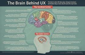 The Brain Behind Ux Ux Process Educational Infographic Ux Experience Design