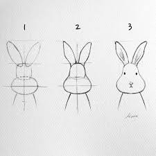 Watercolor Illustrations On Instagram How To Draw A Rabbit Face Step By Step For B Easy Drawings Pencil Drawings For Beginners Easy Drawings For Beginners
