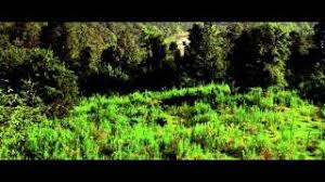 Terdapat banyak pilihan penyedia file pada. Cold Mountain 2003 Online Subtitrat Filmehd