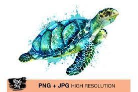 Turtle Watercolor On All Category Thehungryjpeg Com Turtle Watercolor Turtle Sea Turtle