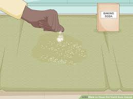 how to clean up dog vomit from carpet