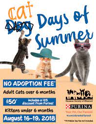 Maybe you would like to learn more about one of these? Cat Days Of Summer Humane Society Of Missouri