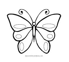 Contoh gambar sketsa mewarnai kupu kupu kataucap. Unduh 95 Gambar Gambar Kupu Kupu Paling Bagus Gratis Menggambar Kupu Kupu Pola Binatang Buku Mewarnai