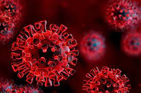 Doctors in india have linked delta to a broader array of covid symptoms, including hearing impairment, and early data from scotland found covid patients infected by delta were 1.8 times more likely. What You Need To Know About The Delta Variant