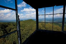 Up On Doe Mountain Tennessee Home And Farm Tennessee Travel Watauga Lake Mountain City