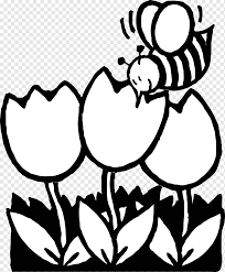 Bird coloring pages adult coloring pages coloring books swan painting diy y manualidades quilling patterns colorful pictures line art embroidery patterns. Heller Png Images Pngwing