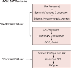 Image result for Restrictive Cardiomyopathy