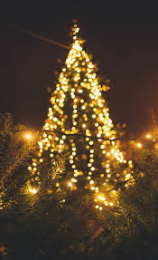 We did not find results for: Christmas Tree Lights Pictures Download Free Images On Unsplash