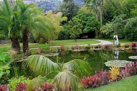 Cote D Azur 2012 Jardin Botanique Cote D Azur Jardins