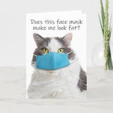Opening presents is another great way to keep kitty's attention for your holiday card photo. Fat Cat Cards Zazzle