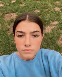 Pin By Mia Forti On ˏˋ Charli Rares ˎˊ In 2020 Famous Girls Charlie Video Disney Movies List