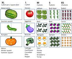That's because it is a big plant that will spread if not controlled. Square Foot Gardening Garden Layout Vegetable Square Foot Gardening Planting Vegetables