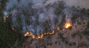 1 day ago · antalya'da manavgat'ın yeniköy mahallesi yakınlarındaki ormanlık alanda, saat 12.00 sıralarında çıkan orman yangını rüzgarın da etkisiyle kısa sürede yayıldı. Diyarbakir Da Orman Yangini Koylere Ulasti