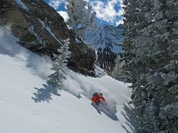 Alta builds quality, durable knee pads, elbow pads and work gear. Alta Snow Forecast Mid Mountain Snow Forecast Com