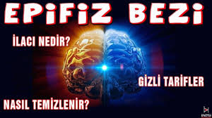 Epifiz Bezi Nasil Temizlenir Zihin Gozu Ilaci 3 Goz Youtube Pineal Gland Youtube Saglik