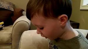 1 Zany Zoo: Degman, Lori, Jack, Colin: 9781416989905: Amazon.com: Books