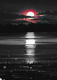 Beautiful Black And White With Color Splash Pin By Juju Hin On Touch Of Color Splash Of Color Color Splash Art Color Splash Photo Color Splash Photography