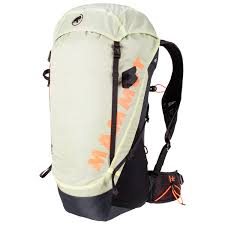 Welcome to mammut auto sales in bellingham, wa. Mammut Ducan 30 Walking Backpack Free Eu Delivery Bergfreunde Eu