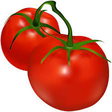 Tomatoes Transparent Png Clip Art Clip Art Tomato Fruit Art