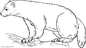 Maybe you would like to learn more about one of these? Realistic Wolverine Coloring Page Coloringall