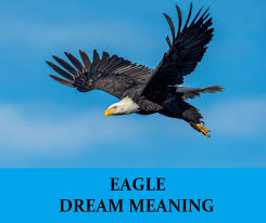 Birds Of A Feather Flock Together Meaning In Tamil Eagle Dream Interpretation Best Dream Meaning Analysis Answer