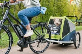 Hundeanhanger Furs Fahrrad Der Croozer Dog Fur Grosse Hunde