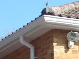 Choose your gutter color that complements the exterior of your home. Colour Matching Guttering Downpipes Roofline Solutions