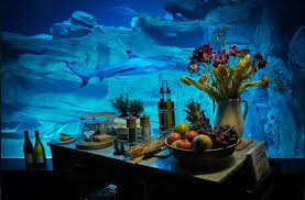 Shark Aquarium Underwater Room Listed On Airbnb For Rent Lets You Sleep With The Sharks Unique Hunters Underwater Room Ocean Room Shark