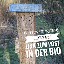 Komm Ich Jetzt Ins Fernsehen Im Neuesten Post Habe Ich Euch Ein Video Verlinkt Gartenrundgang In Allegrias Garten Frau All Instagram Posts Instagram Garten
