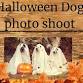 Dog Halloween Photo Shoot event image