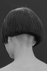 Bird With Spiky Hair On Head 