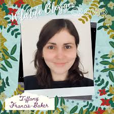 Announcing The Wildlife Blogger Crowd Book