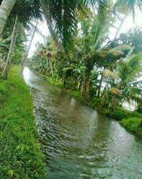 Beautiful Kerala Landscape Photography Nature Kerala Tourism Beautiful Nature