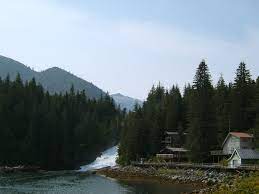 The money tree will benefit from higher humidity than is usually found indoors. Baranof Warm Springs Alaska Wikipedia