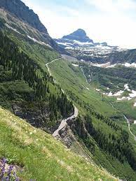 Our Home Page Glacier National Park The Highline Trail P7111408 View Of Going To The Sun Highway From Highline Tra National Parks Glacier National Park Scenic