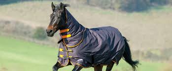 Shires Guide To Turnout Rugs Shires Equestrian Blog