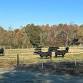 SimAngus Solution Bull & Female Sale — North... event in Burlington, NC