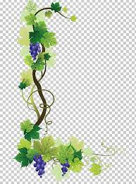 Common Grape Vine Wine Grape Leaves Png Clipart Border Branch Encapsulated Postscript Film Frame Flora Free Png Downl Grape Vines Grape Tree Grape Leaves