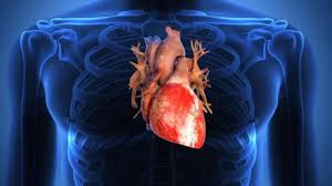 Metode operasi jantung ini ialah dengan membuat saluran baru sebab saluran pada pembuluh darah arteri jantung telah menyempit atau apakah operasi jantung yang tepat dilakukan untuk penderita? Penyebab Dan Jenis Penyakit Jantung Bervariasi Kenali Sejak Dini Berikut Penjelasannya Serambi Indonesia