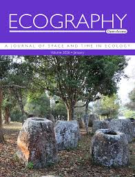 Image result for Heisteria zimmereri