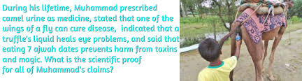 What would prophet muhammad do if he was alive today and saw the suffering of humankind all over the world? Health Tips From Allah Muhammad Islam Camel Urine Fly