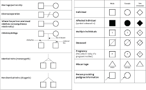 Creating a family tree is a task often given to pupils. 11 Medical Family Tree Ideas Family Tree Family Medical Family