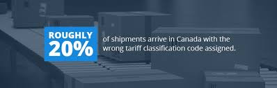 What is a taric code, one what was the origin of the taric code in the eu and spain? Customs Delays Caused By Incorrect Tariff Classification