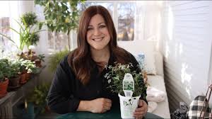 Maybe you would like to learn more about one of these? Plant Spotlight Diamond Frost Diamond Mountain And Diamond Snow Garden Answer Youtube In 2020 Diamond Frost Proven Winners Espoma