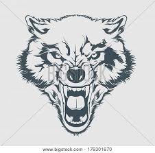 Aug 26, 2015 · angry wolf tattoo. Angry Wolf Head Vector Photo Free Trial Bigstock
