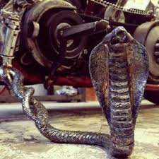 15 Odnoklassniki Harley Bikes Bike Details Bike Stand