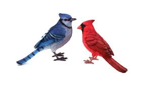 Blue Birds That Look Like Cardinals Blue Jay Red Cardinal Birds Figurines Ornament Resin New Bird Outdoor Decor Blue Jay Cardinal Birds Blue